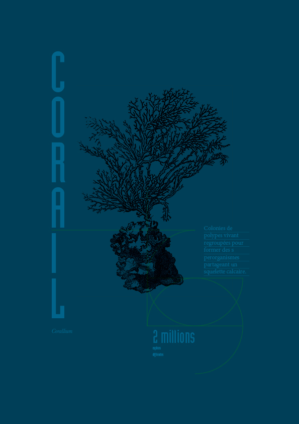 Affiche Corail