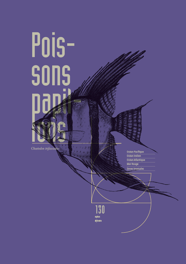 Affiche Poisson Papillon