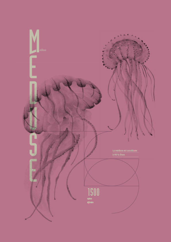 Affiche Méduse